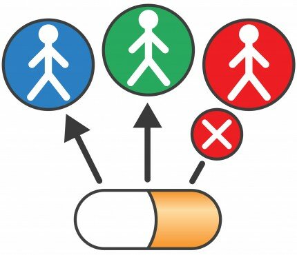 Drug Safety Phase 1-Phase2